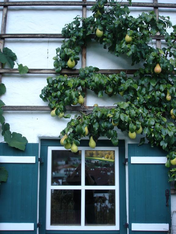 Appartamento Alpenhof Punzenlehen Schönau am Königssee Esterno foto